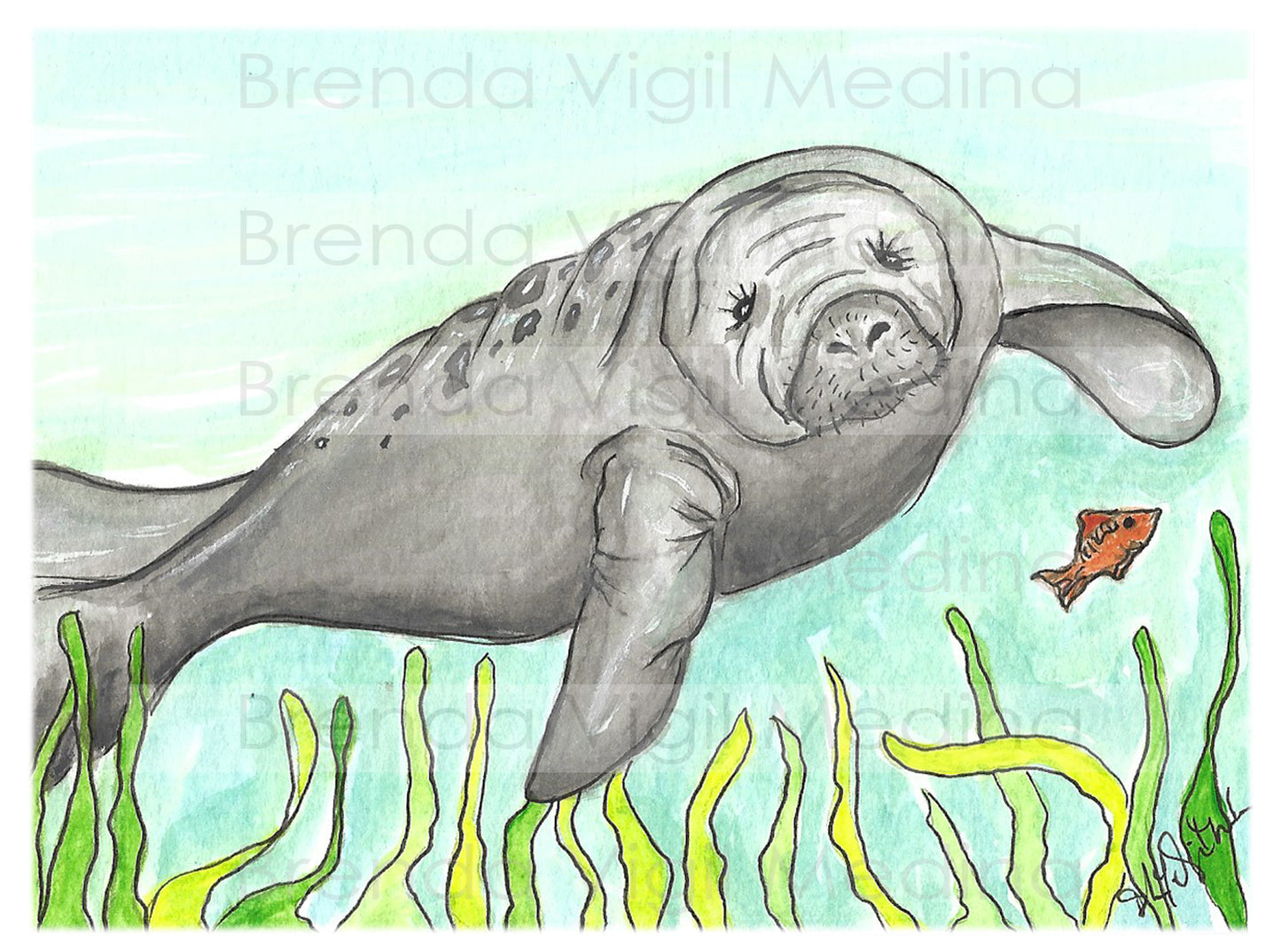 "Manatí" 2019 - Digital Print 5"x7"