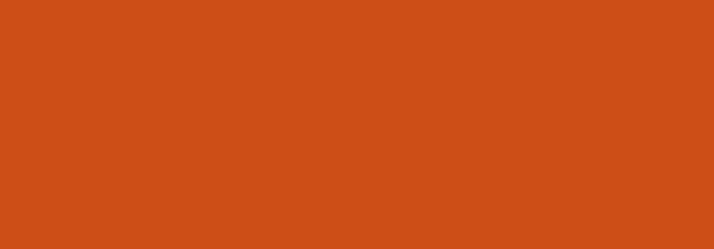 NBQ Pro Paint Spray