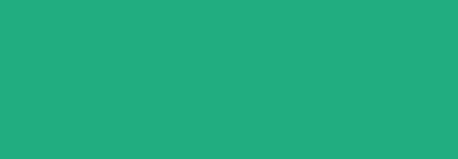 NBQ Pro Paint Spray