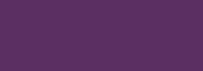 NBQ Pro Paint Spray